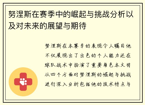 努涅斯在赛季中的崛起与挑战分析以及对未来的展望与期待