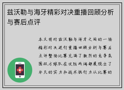 兹沃勒与海牙精彩对决重播回顾分析与赛后点评